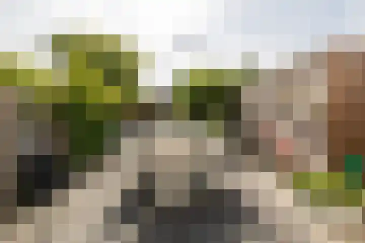 Radijsstraat 18 Wateringen thumbnail 19