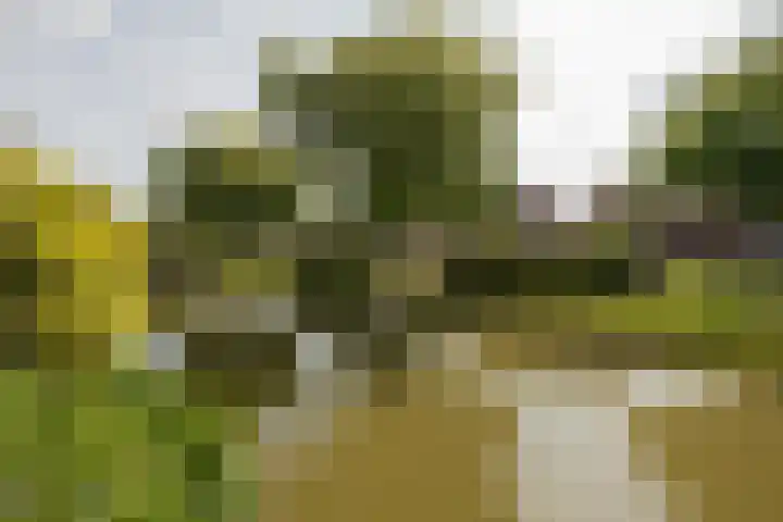 Radijsstraat 18 Wateringen thumbnail 21