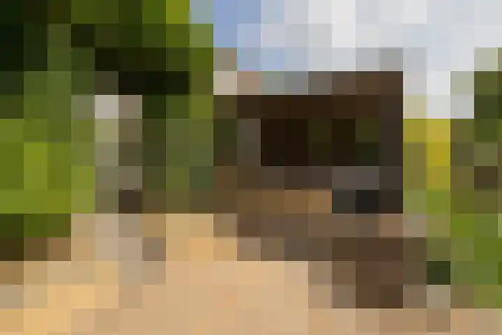 Radijsstraat 18 Wateringen thumbnail 22
