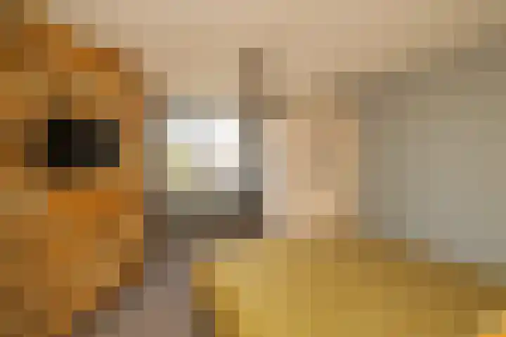 Radijsstraat 18 Wateringen thumbnail 30