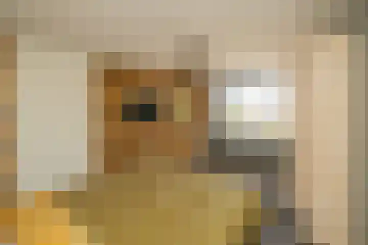 Radijsstraat 18 Wateringen thumbnail 31