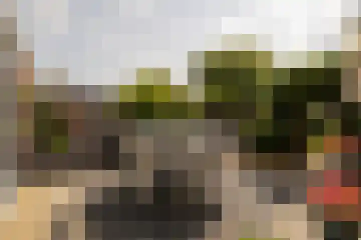 Radijsstraat 18 Wateringen thumbnail 4