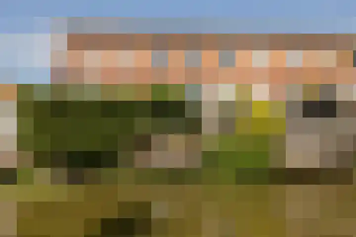 Radijsstraat 18 Wateringen thumbnail 59
