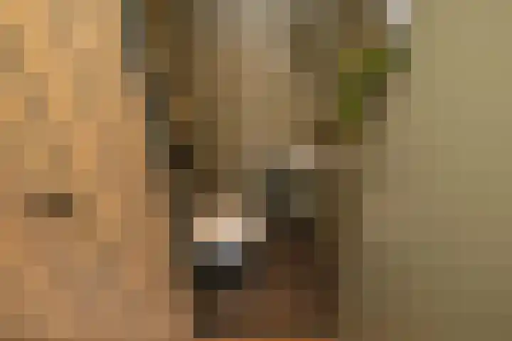Radijsstraat 18 Wateringen thumbnail 8