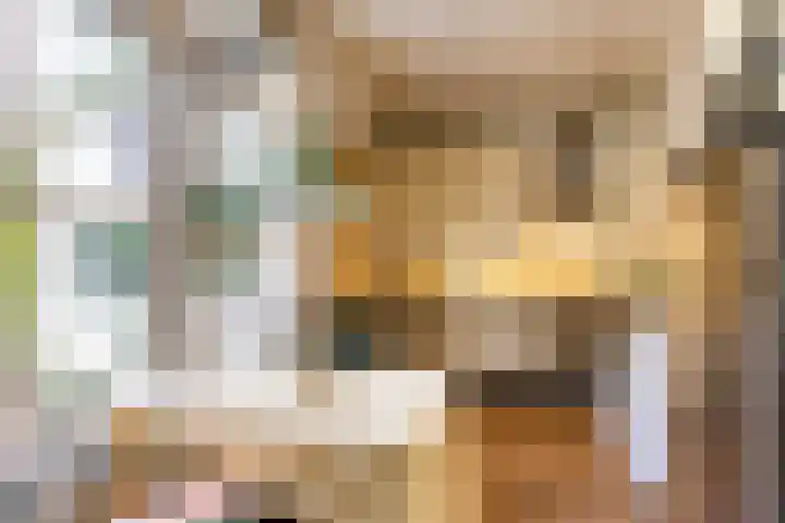 Radijsstraat 43 Groningen thumbnail 26