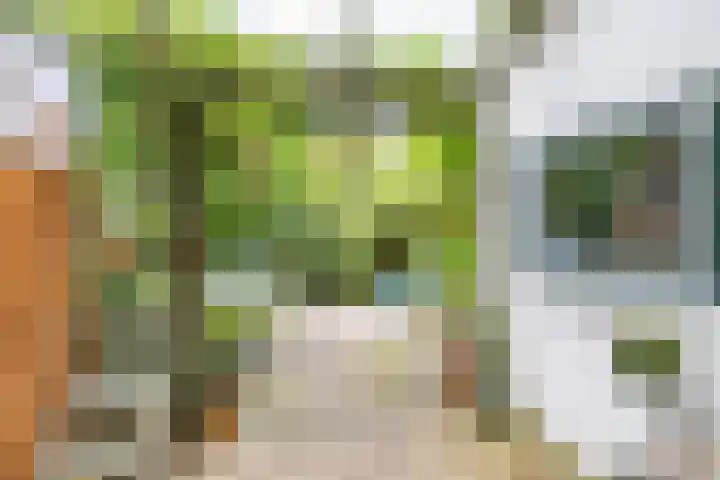 Radijsstraat 43 Groningen thumbnail 35