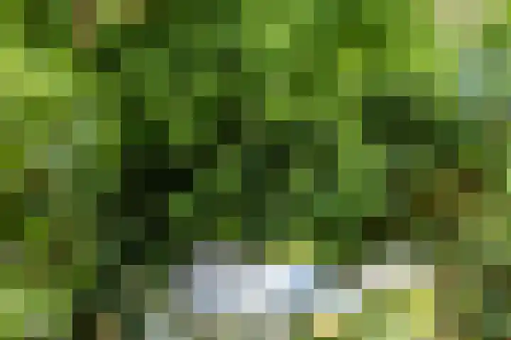 Radijsstraat 43 Groningen thumbnail 37