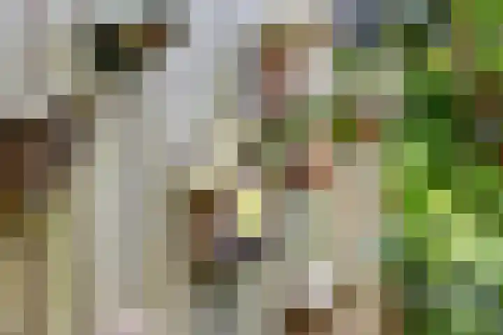 Radijsstraat 43 Groningen thumbnail 39