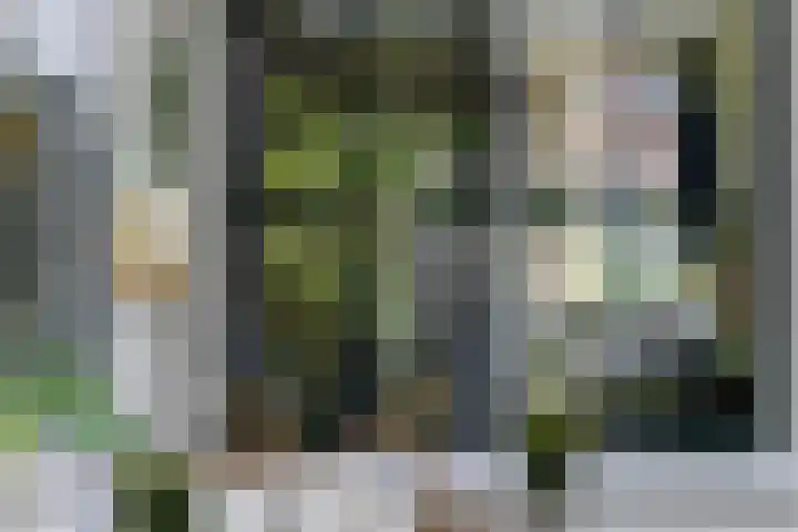 Radijsstraat 43 Groningen thumbnail 41