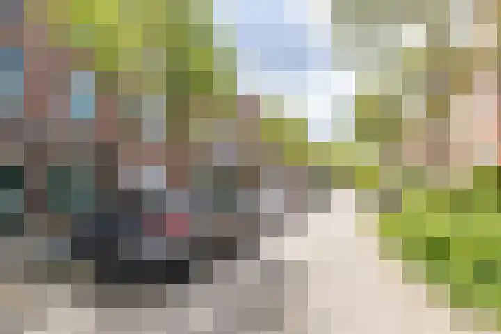 Radijsstraat 43 Groningen thumbnail 5