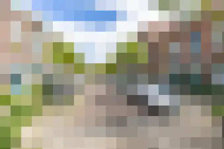 Radijsstraat 43 Groningen thumbnail 6