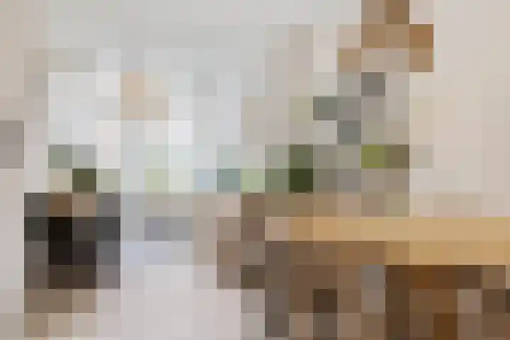 Radijsstraat 5 Groningen thumbnail 11