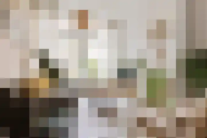 Radijsstraat 5 Groningen thumbnail 13