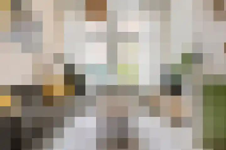 Radijsstraat 5 Groningen thumbnail 17