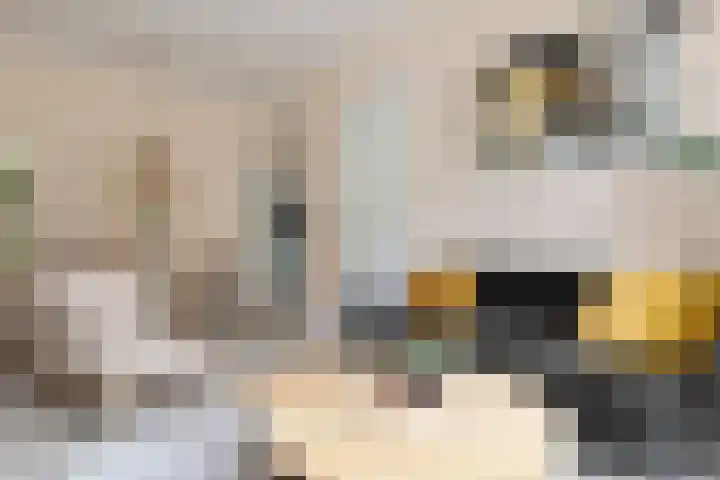 Radijsstraat 5 Groningen thumbnail 20