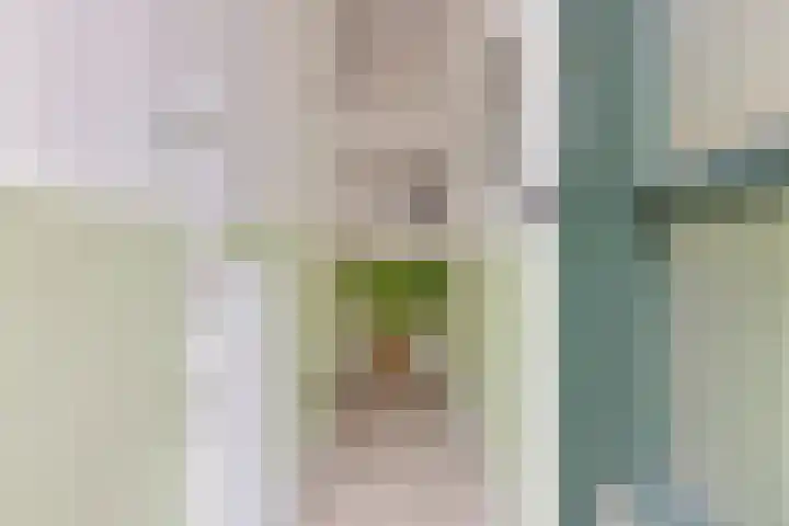 Radijsstraat 5 Groningen thumbnail 7