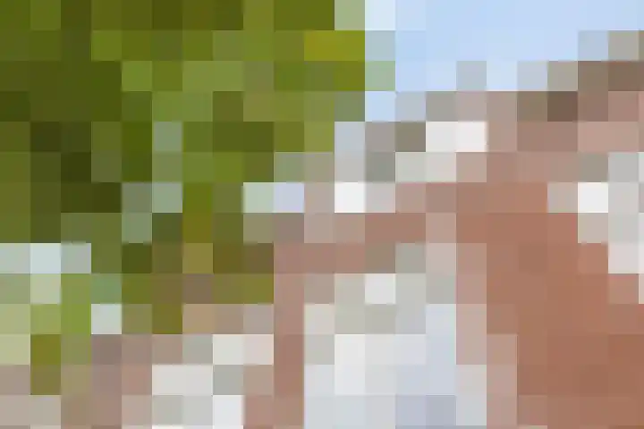 Radijsstraat 57 a Groningen thumbnail 4