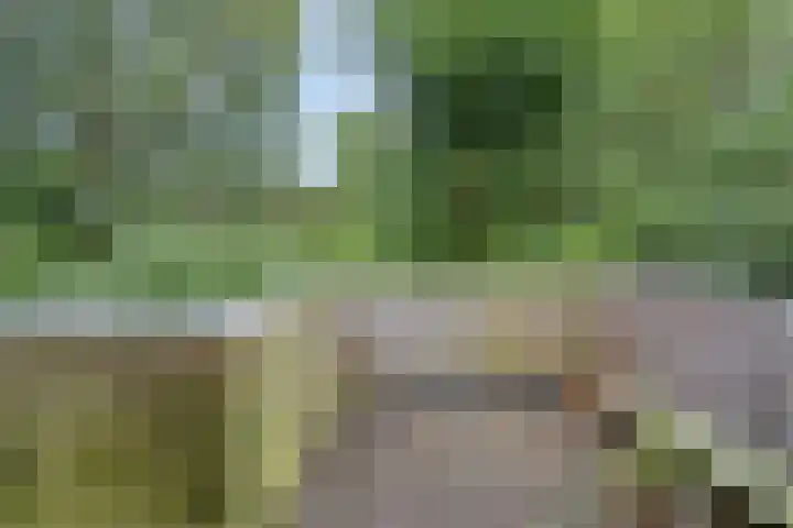 Radijsstraat 89 a Groningen thumbnail 21