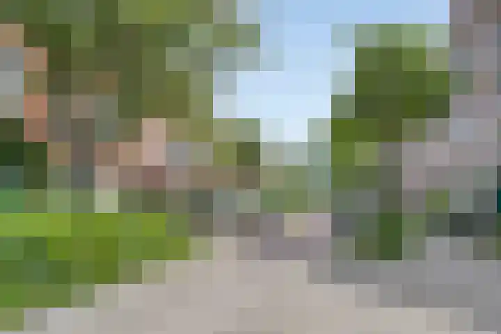 Radijsstraat 89 a Groningen thumbnail 34