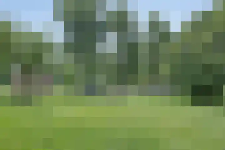 Radijsstraat 89 a Groningen thumbnail 37