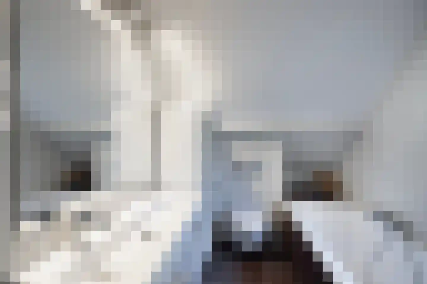 Rading 10 08 Loosdrecht thumbnail 30