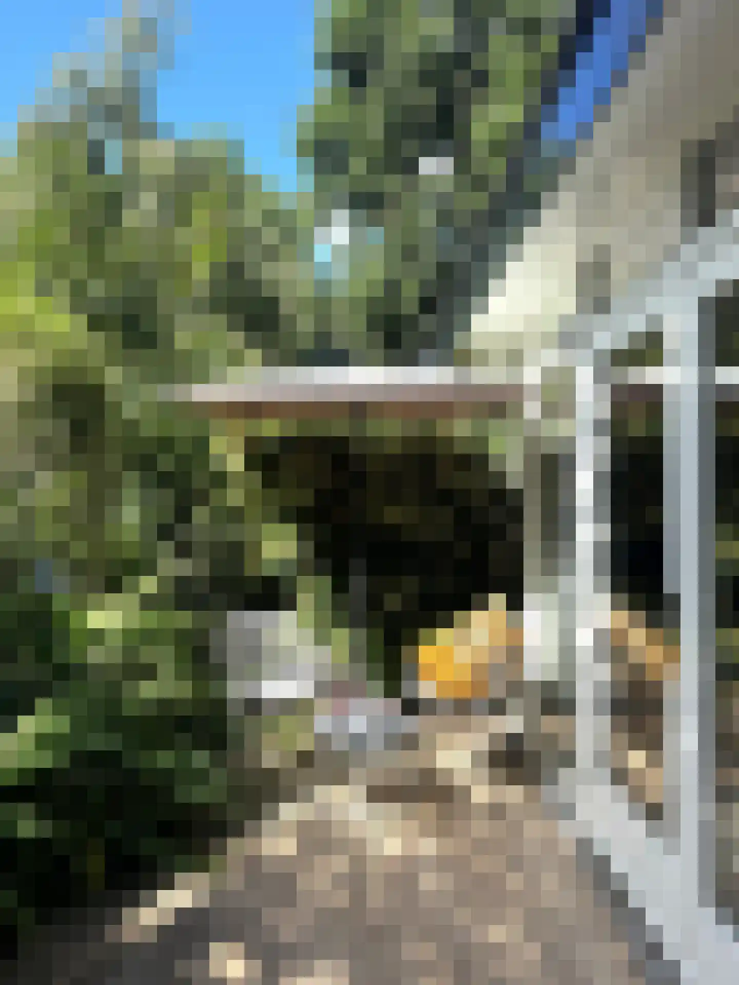 Rading 10 08 Loosdrecht thumbnail 39