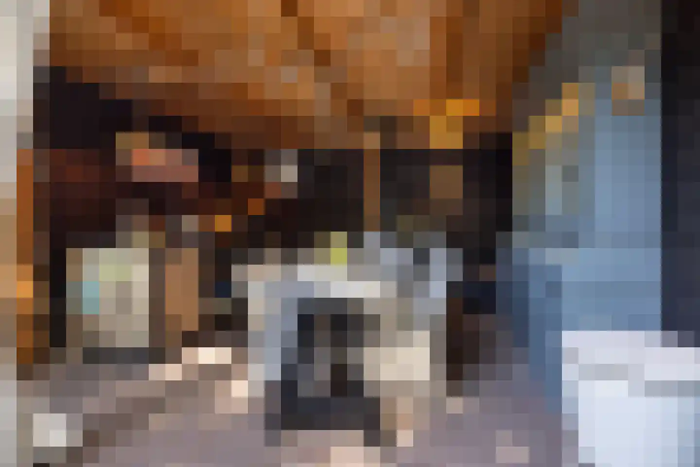Rading 10 08 Loosdrecht thumbnail 43