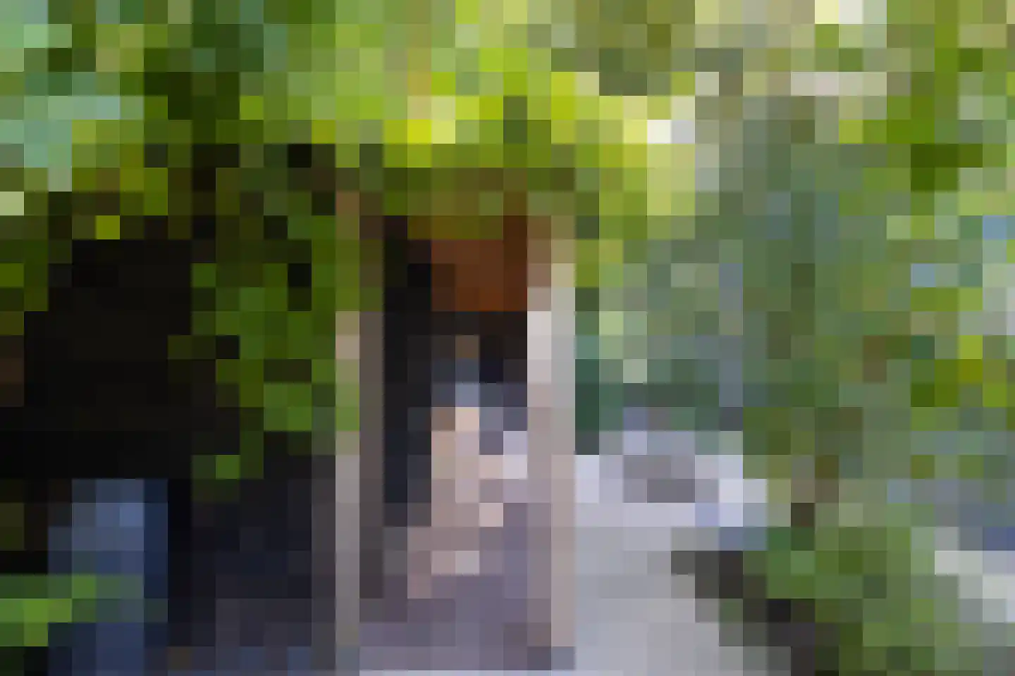 Rading 10 08 Loosdrecht thumbnail 45