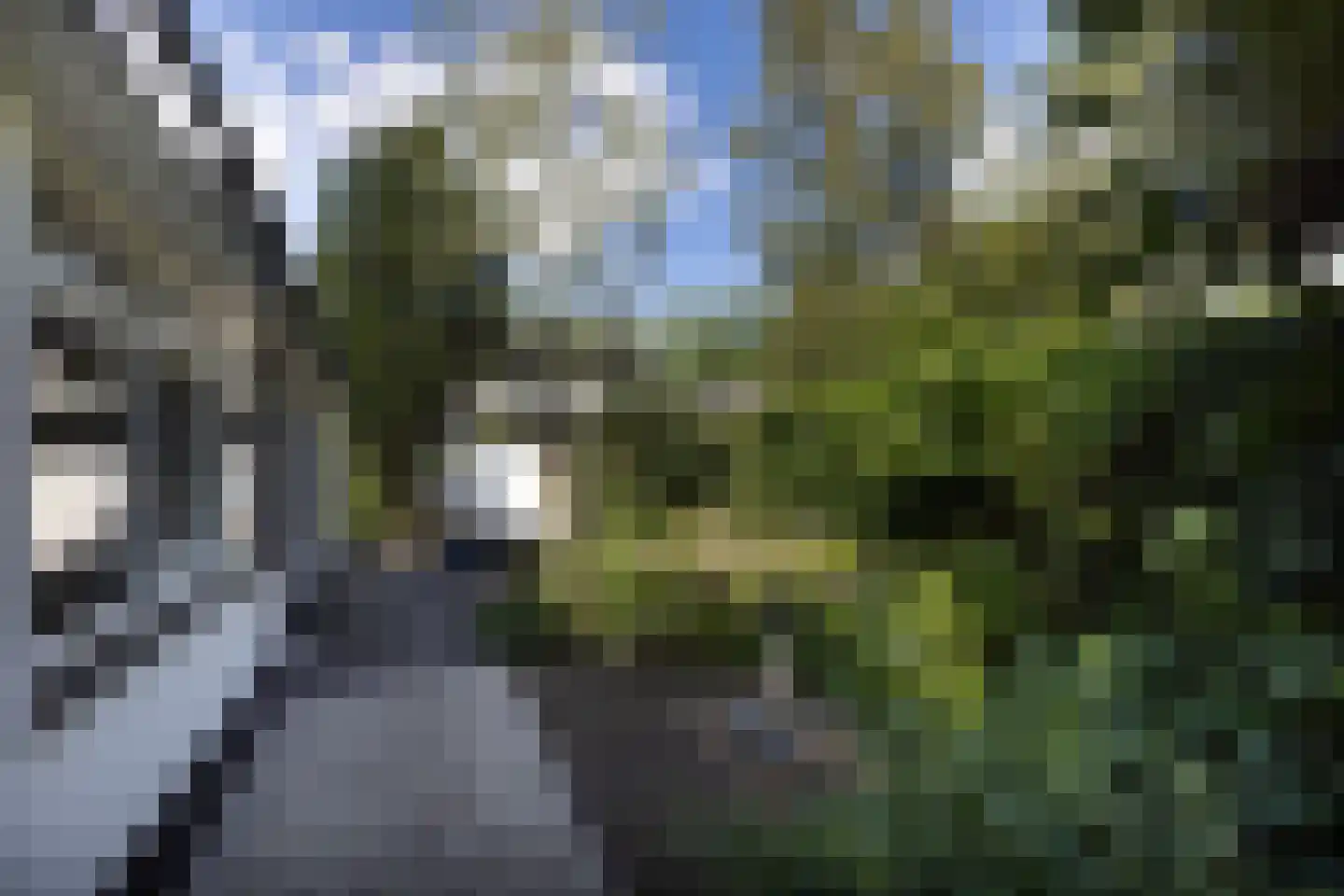 Rading 10 08 Loosdrecht thumbnail 46