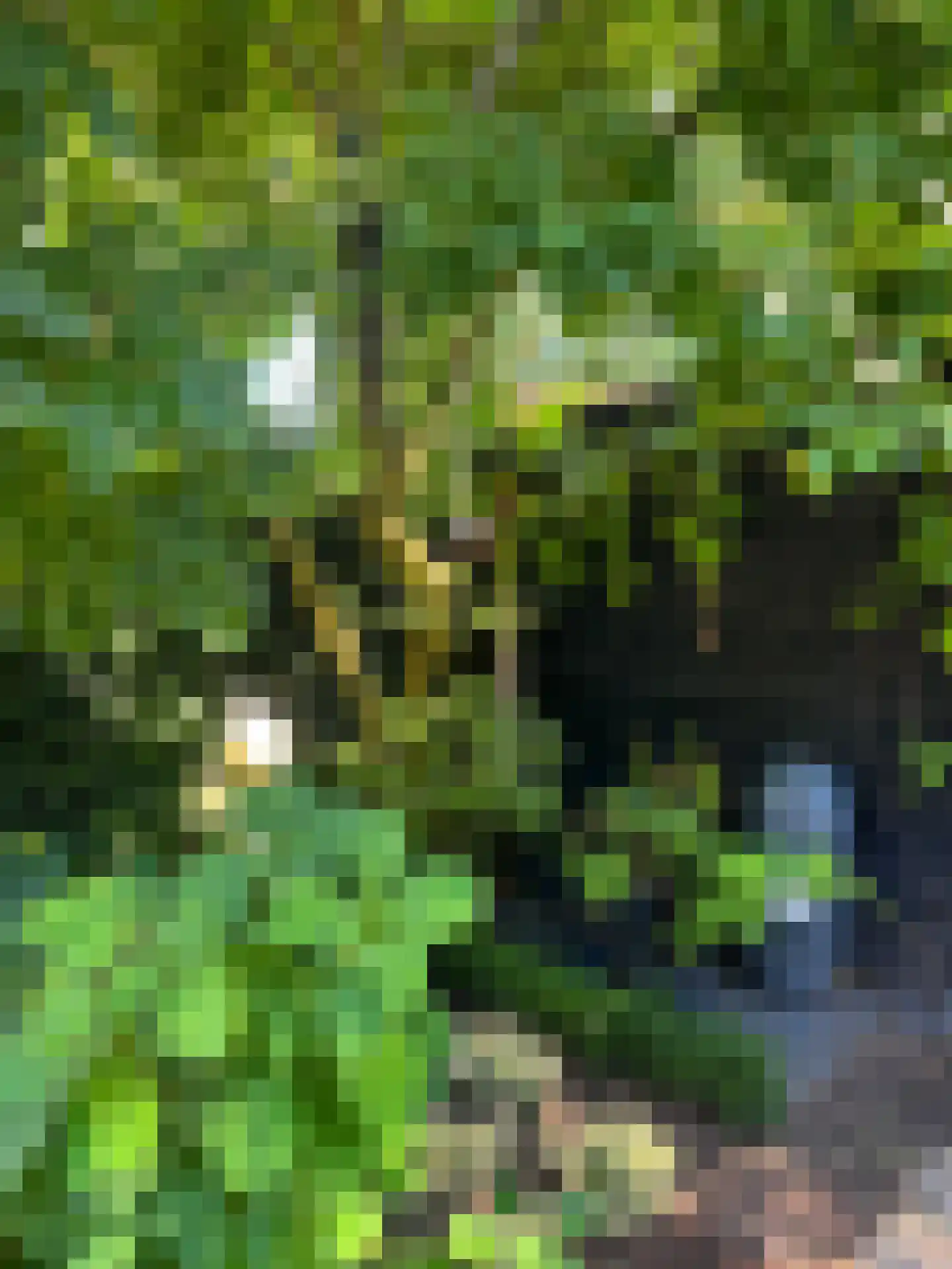 Rading 10 08 Loosdrecht thumbnail 47