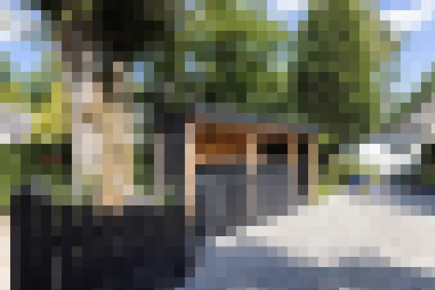 Rading 10 08 Loosdrecht thumbnail 53
