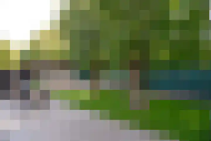 Rading 10 09 Loosdrecht thumbnail 15