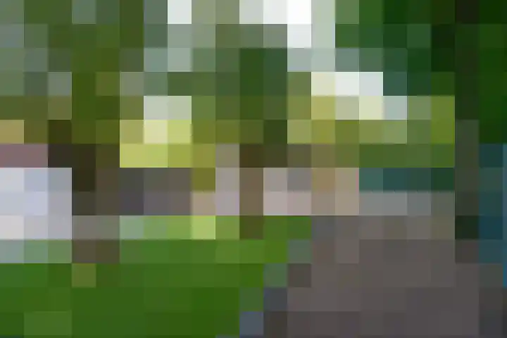 Rading 10 09 Loosdrecht thumbnail 16