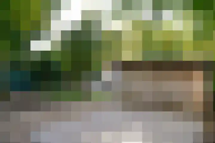 Rading 10 09 Loosdrecht thumbnail 17