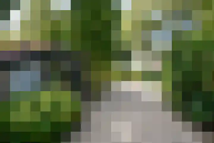 Rading 10 09 Loosdrecht thumbnail 19