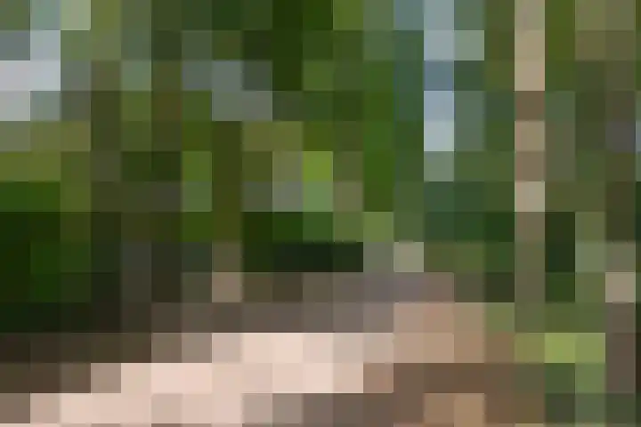 Rading 10 09 Loosdrecht thumbnail 20