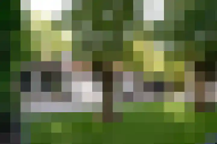 Rading 10 09 Loosdrecht thumbnail 21