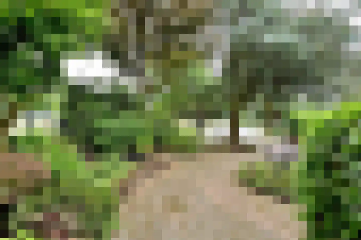 Rading 102 Loosdrecht thumbnail 20
