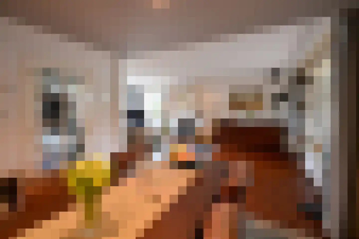 Rading 102 Loosdrecht thumbnail 5