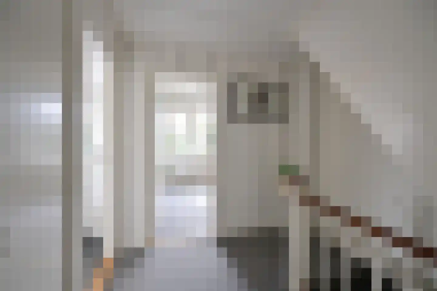 Rading 102 Loosdrecht thumbnail 7