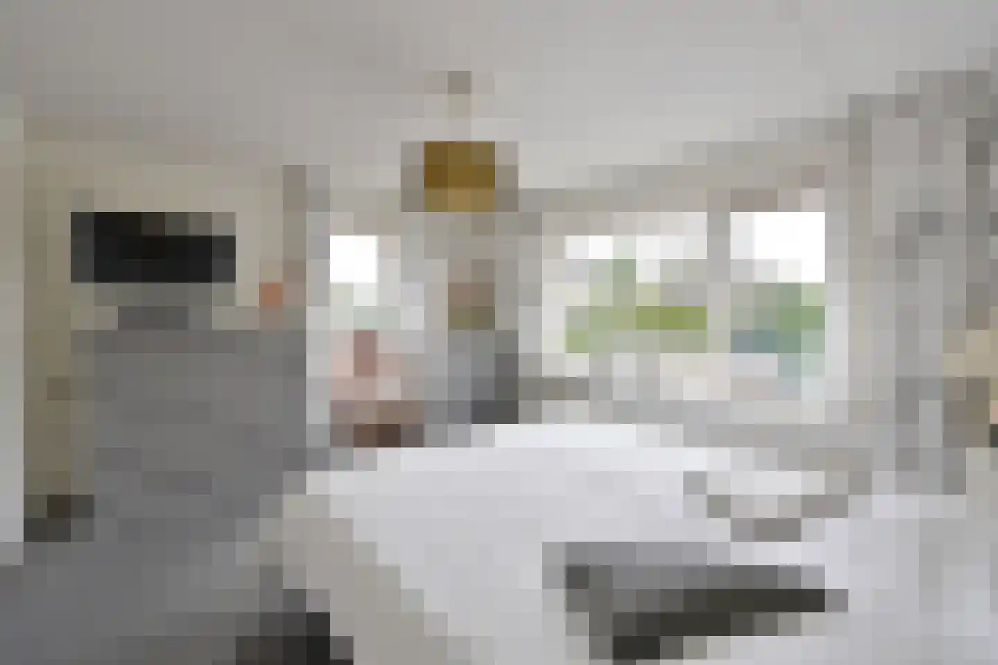 Rading 102 Loosdrecht thumbnail 8