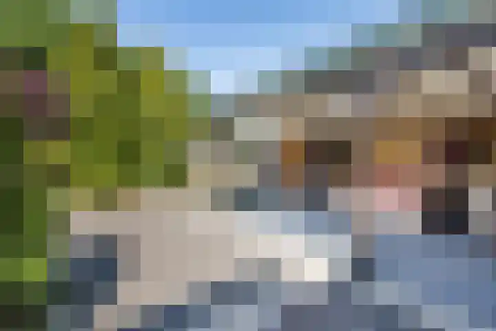 Rading 108 b Loosdrecht thumbnail 4