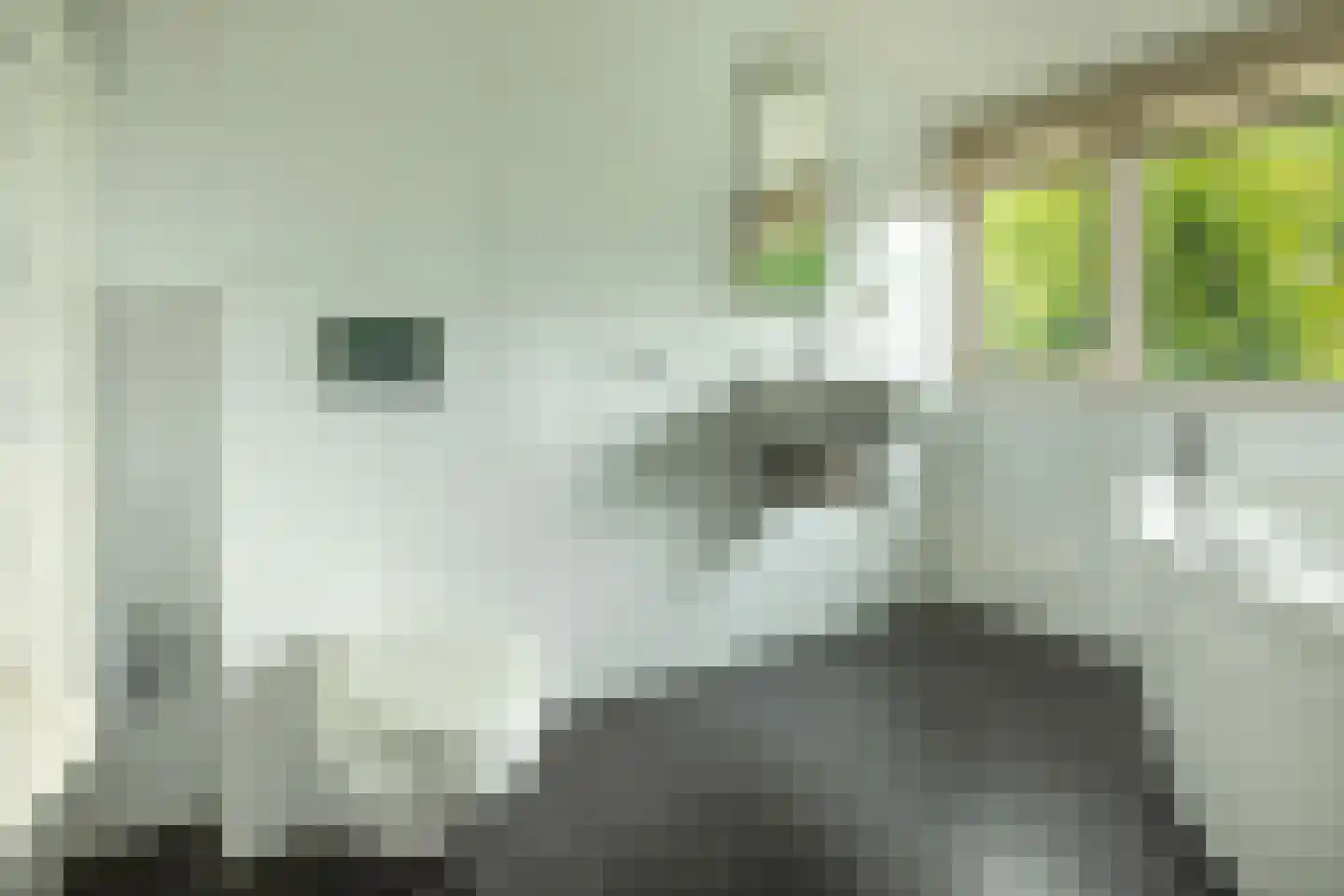 Rading 124 Loosdrecht thumbnail 20