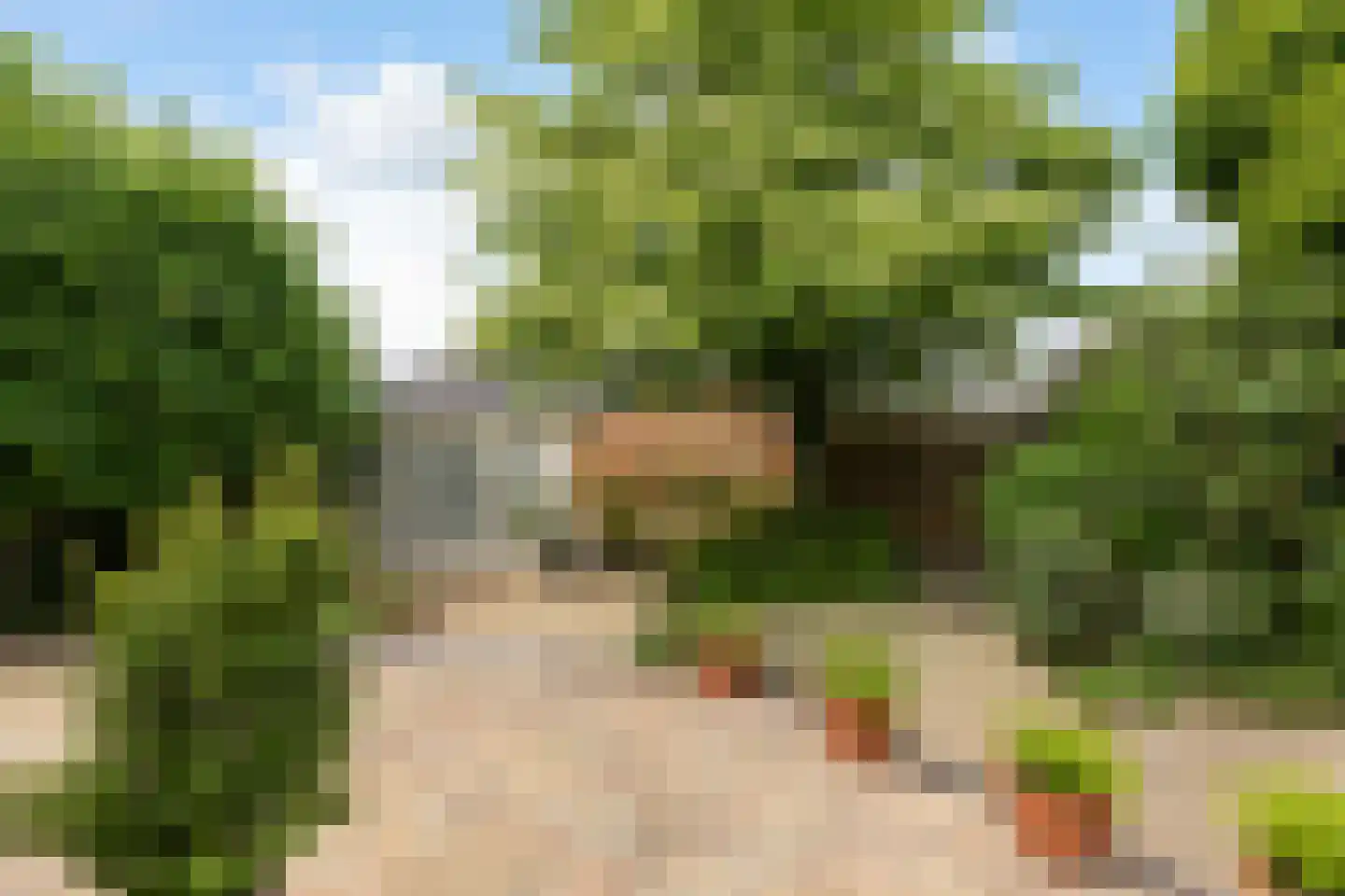 Rading 124 Loosdrecht thumbnail 23