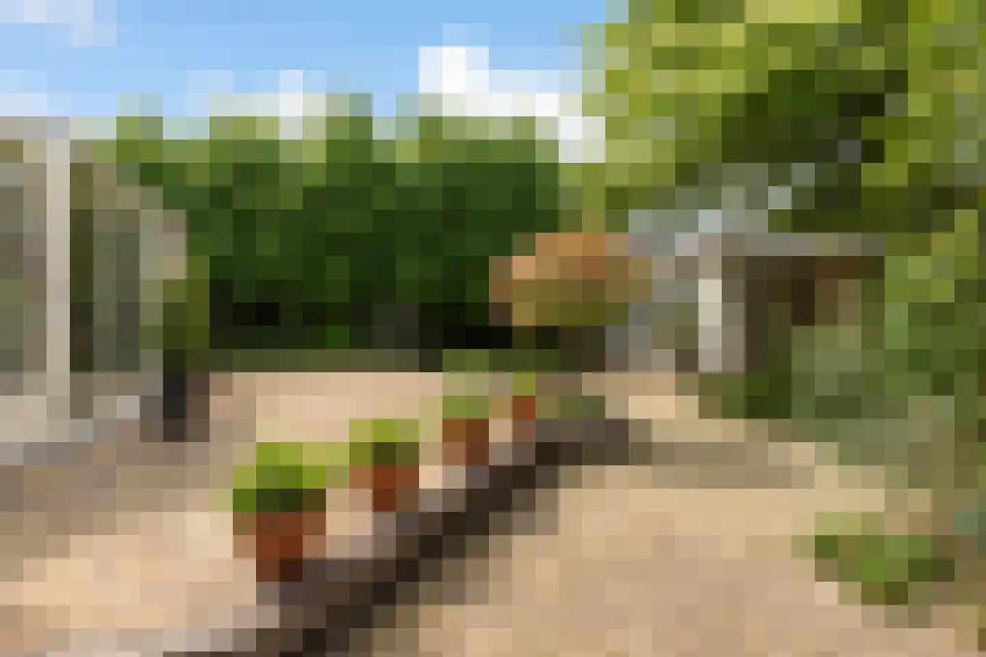 Rading 124 Loosdrecht thumbnail 25