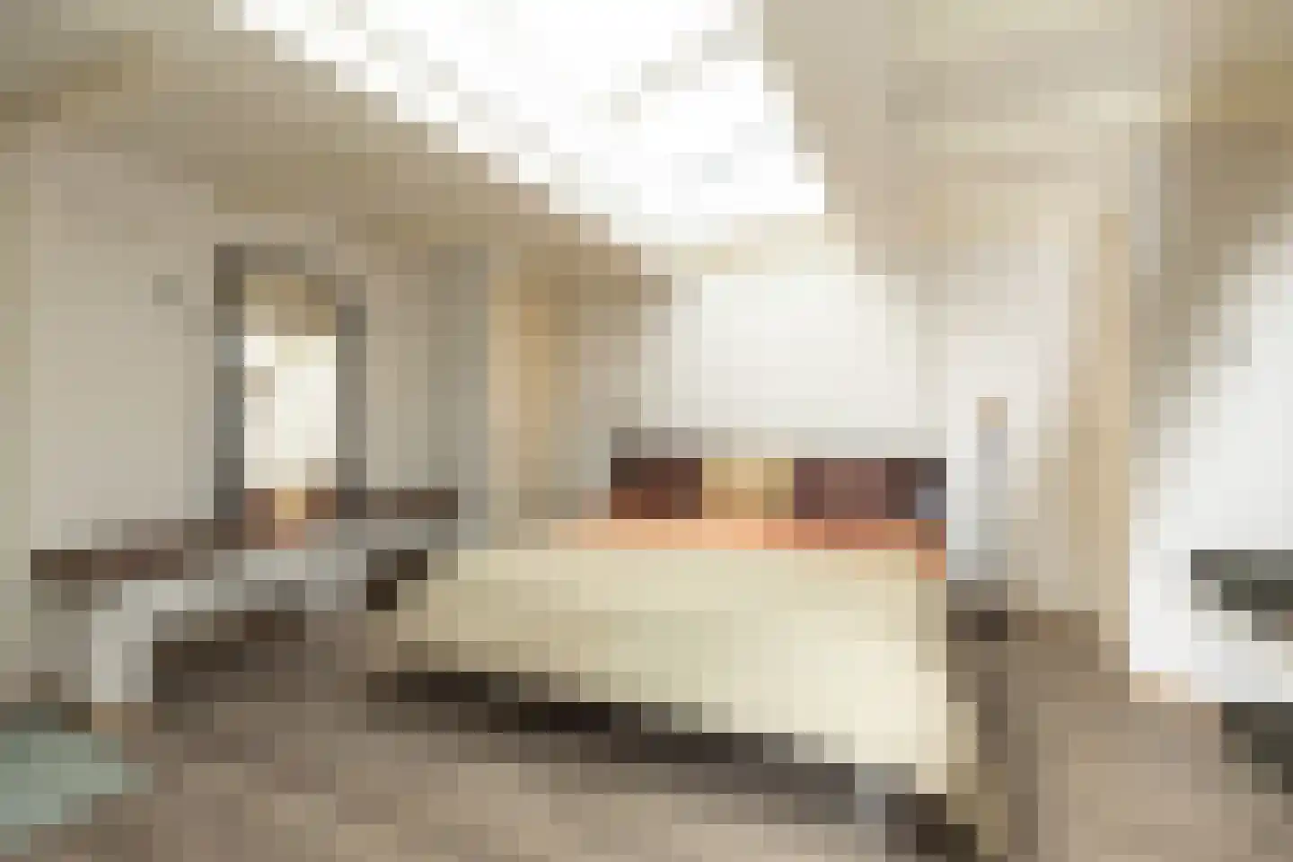 Rading 124 Loosdrecht thumbnail 39