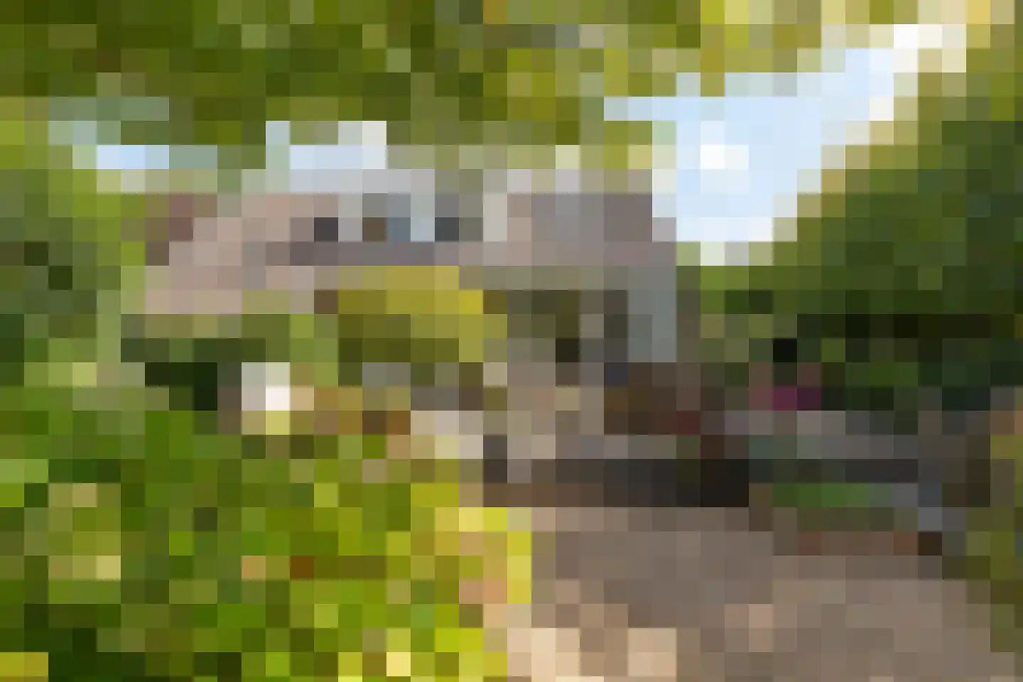 Rading 124 Loosdrecht thumbnail 46
