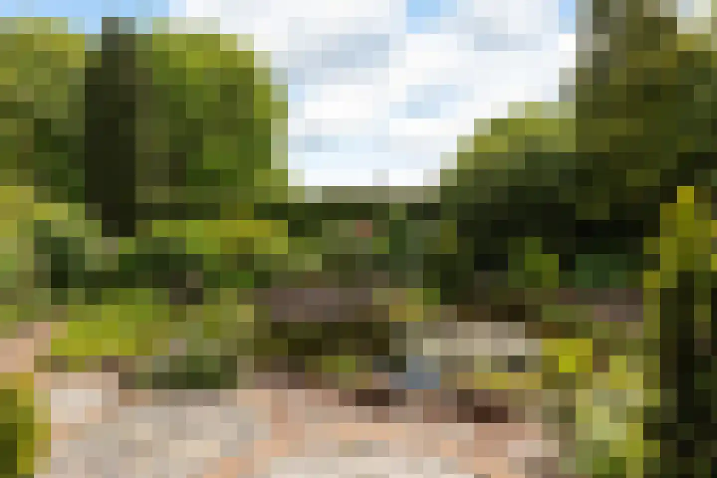 Rading 124 Loosdrecht thumbnail 5