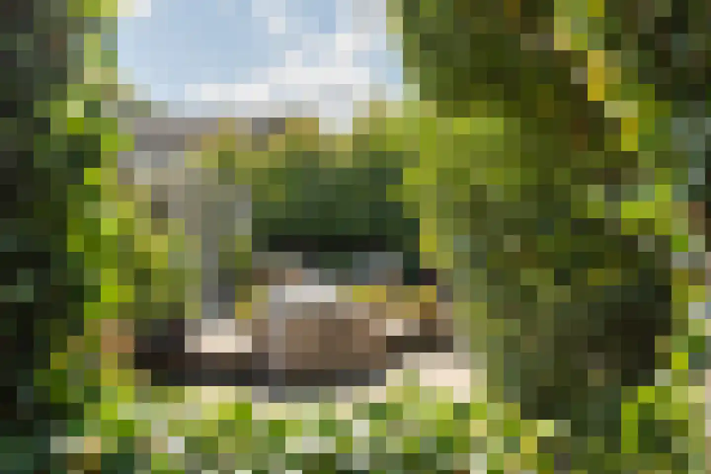 Rading 124 Loosdrecht thumbnail 52