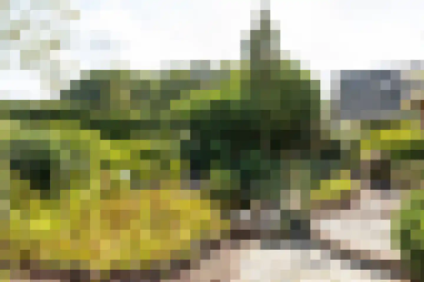 Rading 124 Loosdrecht thumbnail 53